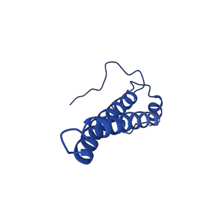 11872_7aqq_f_v1-0
Cryo-EM structure of Arabidopsis thaliana Complex-I (membrane core)