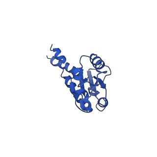 11873_7aqr_B_v1-0
Cryo-EM structure of Arabidopsis thaliana Complex-I (peripheral arm)
