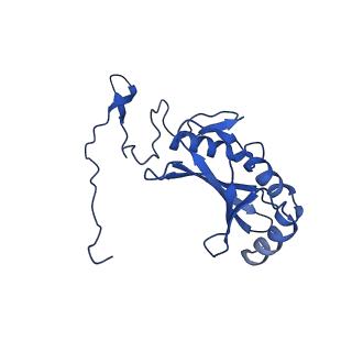 11873_7aqr_C_v1-0
Cryo-EM structure of Arabidopsis thaliana Complex-I (peripheral arm)