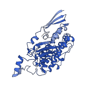 11873_7aqr_D_v1-0
Cryo-EM structure of Arabidopsis thaliana Complex-I (peripheral arm)