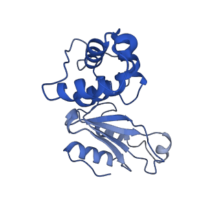 11873_7aqr_E_v1-0
Cryo-EM structure of Arabidopsis thaliana Complex-I (peripheral arm)