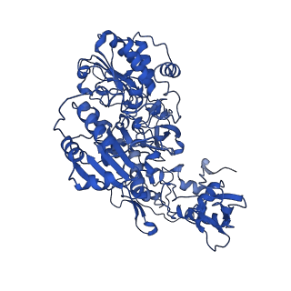 11873_7aqr_G_v1-0
Cryo-EM structure of Arabidopsis thaliana Complex-I (peripheral arm)