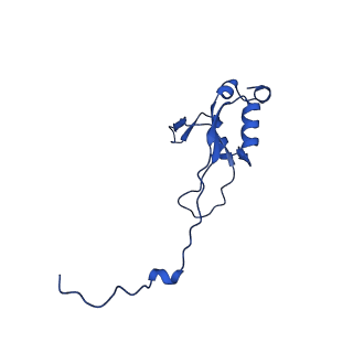 11873_7aqr_Q_v1-0
Cryo-EM structure of Arabidopsis thaliana Complex-I (peripheral arm)