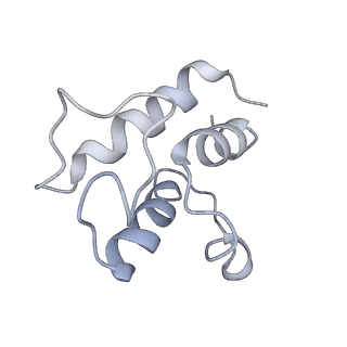 11873_7aqr_U_v1-0
Cryo-EM structure of Arabidopsis thaliana Complex-I (peripheral arm)