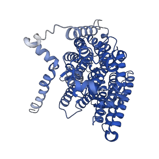 11874_7aqw_L_v1-0
Cryo-EM structure of Arabidopsis thaliana Complex-I (membrane tip)