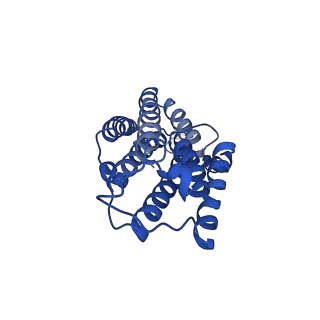 11874_7aqw_M_v1-0
Cryo-EM structure of Arabidopsis thaliana Complex-I (membrane tip)