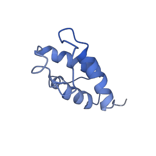 11874_7aqw_T_v1-0
Cryo-EM structure of Arabidopsis thaliana Complex-I (membrane tip)