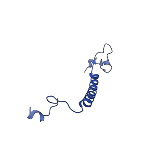 11874_7aqw_c_v1-0
Cryo-EM structure of Arabidopsis thaliana Complex-I (membrane tip)