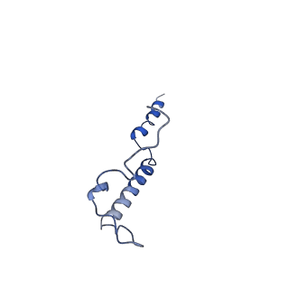 11874_7aqw_g_v1-0
Cryo-EM structure of Arabidopsis thaliana Complex-I (membrane tip)