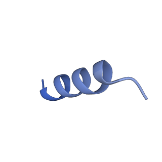 11874_7aqw_i_v1-0
Cryo-EM structure of Arabidopsis thaliana Complex-I (membrane tip)
