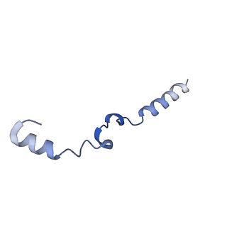 11874_7aqw_k_v1-0
Cryo-EM structure of Arabidopsis thaliana Complex-I (membrane tip)