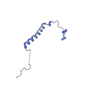 11874_7aqw_l_v1-0
Cryo-EM structure of Arabidopsis thaliana Complex-I (membrane tip)