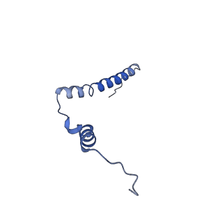 11874_7aqw_m_v1-0
Cryo-EM structure of Arabidopsis thaliana Complex-I (membrane tip)