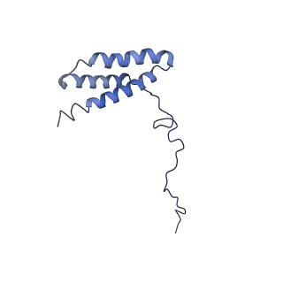11874_7aqw_n_v1-0
Cryo-EM structure of Arabidopsis thaliana Complex-I (membrane tip)