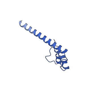 11874_7aqw_o_v1-0
Cryo-EM structure of Arabidopsis thaliana Complex-I (membrane tip)
