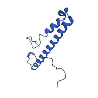 11874_7aqw_p_v1-0
Cryo-EM structure of Arabidopsis thaliana Complex-I (membrane tip)