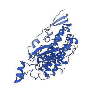 11875_7ar7_D_v1-0
Cryo-EM structure of Arabidopsis thaliana complex-I (open conformation)