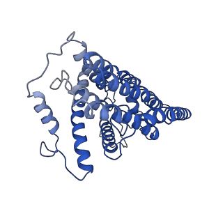 11875_7ar7_H_v1-0
Cryo-EM structure of Arabidopsis thaliana complex-I (open conformation)
