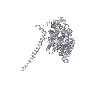 11875_7ar7_L_v1-0
Cryo-EM structure of Arabidopsis thaliana complex-I (open conformation)