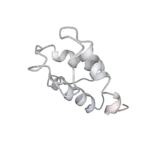 11875_7ar7_T_v1-0
Cryo-EM structure of Arabidopsis thaliana complex-I (open conformation)