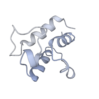 11875_7ar7_U_v1-0
Cryo-EM structure of Arabidopsis thaliana complex-I (open conformation)