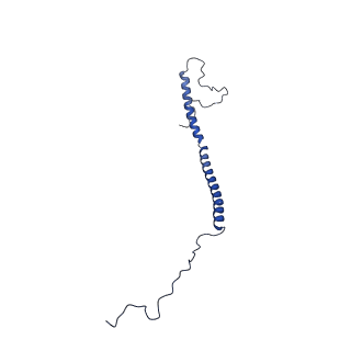 11875_7ar7_Z_v1-0
Cryo-EM structure of Arabidopsis thaliana complex-I (open conformation)