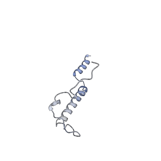 11875_7ar7_g_v1-0
Cryo-EM structure of Arabidopsis thaliana complex-I (open conformation)