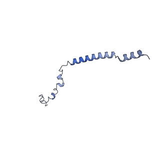 11875_7ar7_i_v1-0
Cryo-EM structure of Arabidopsis thaliana complex-I (open conformation)
