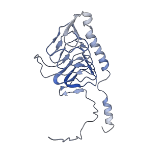 11875_7ar7_x_v1-0
Cryo-EM structure of Arabidopsis thaliana complex-I (open conformation)