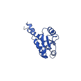 11876_7ar8_B_v1-0
Cryo-EM structure of Arabidopsis thaliana complex-I (closed conformation)