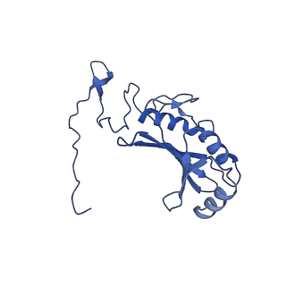 11876_7ar8_C_v1-0
Cryo-EM structure of Arabidopsis thaliana complex-I (closed conformation)