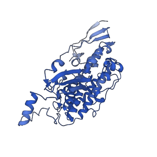 11876_7ar8_D_v1-0
Cryo-EM structure of Arabidopsis thaliana complex-I (closed conformation)
