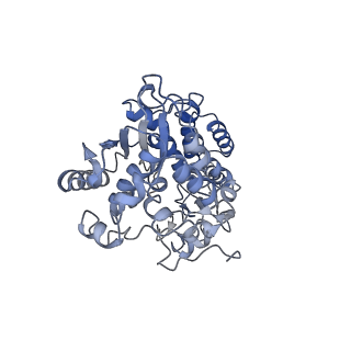 11876_7ar8_F_v1-0
Cryo-EM structure of Arabidopsis thaliana complex-I (closed conformation)