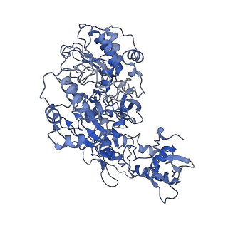 11876_7ar8_G_v1-0
Cryo-EM structure of Arabidopsis thaliana complex-I (closed conformation)