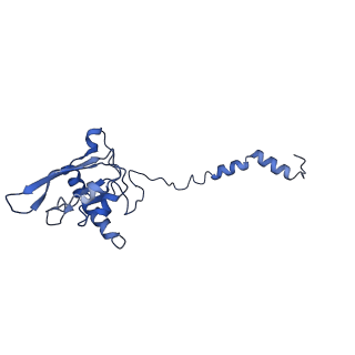 11876_7ar8_I_v1-0
Cryo-EM structure of Arabidopsis thaliana complex-I (closed conformation)