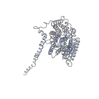11876_7ar8_L_v1-0
Cryo-EM structure of Arabidopsis thaliana complex-I (closed conformation)