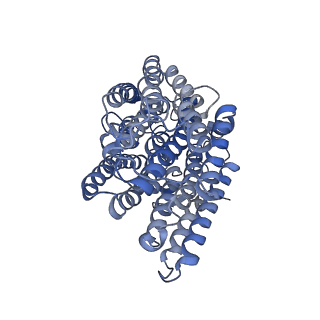 11876_7ar8_M_v1-0
Cryo-EM structure of Arabidopsis thaliana complex-I (closed conformation)