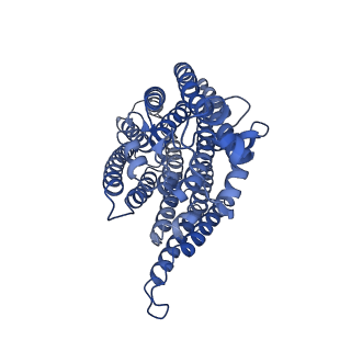 11876_7ar8_N_v1-0
Cryo-EM structure of Arabidopsis thaliana complex-I (closed conformation)