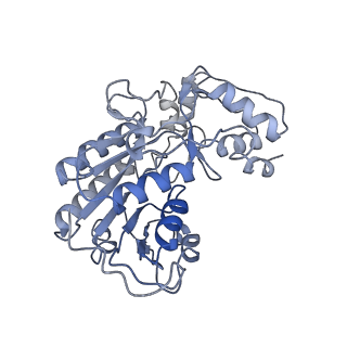 11876_7ar8_P_v1-0
Cryo-EM structure of Arabidopsis thaliana complex-I (closed conformation)