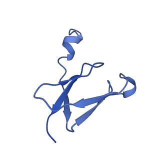 11876_7ar8_R_v1-0
Cryo-EM structure of Arabidopsis thaliana complex-I (closed conformation)