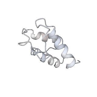 11876_7ar8_T_v1-0
Cryo-EM structure of Arabidopsis thaliana complex-I (closed conformation)