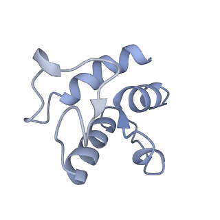 11876_7ar8_U_v1-0
Cryo-EM structure of Arabidopsis thaliana complex-I (closed conformation)