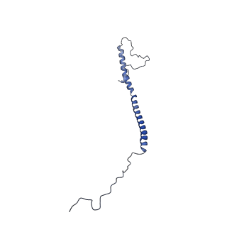 11876_7ar8_Z_v1-0
Cryo-EM structure of Arabidopsis thaliana complex-I (closed conformation)