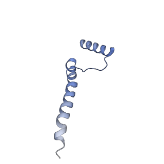 11876_7ar8_a_v1-0
Cryo-EM structure of Arabidopsis thaliana complex-I (closed conformation)
