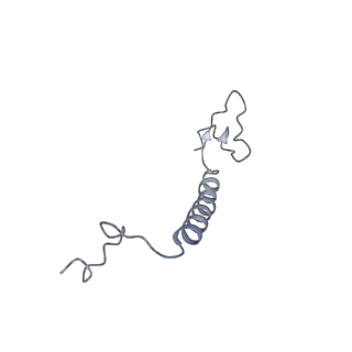 11876_7ar8_c_v1-0
Cryo-EM structure of Arabidopsis thaliana complex-I (closed conformation)