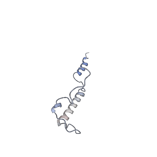 11876_7ar8_g_v1-0
Cryo-EM structure of Arabidopsis thaliana complex-I (closed conformation)