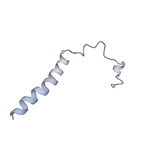 11876_7ar8_l_v1-0
Cryo-EM structure of Arabidopsis thaliana complex-I (closed conformation)