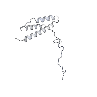 11876_7ar8_n_v1-0
Cryo-EM structure of Arabidopsis thaliana complex-I (closed conformation)