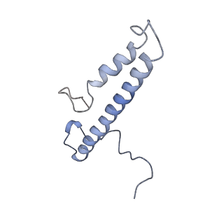 11876_7ar8_p_v1-0
Cryo-EM structure of Arabidopsis thaliana complex-I (closed conformation)