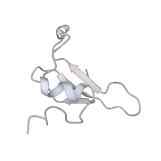 11876_7ar8_q_v1-0
Cryo-EM structure of Arabidopsis thaliana complex-I (closed conformation)